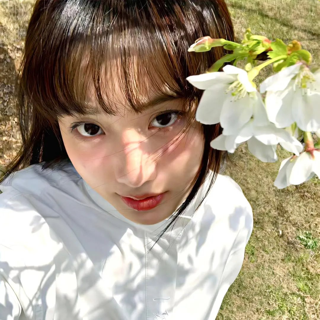 世界奇妙物语 2017年秋季特别篇