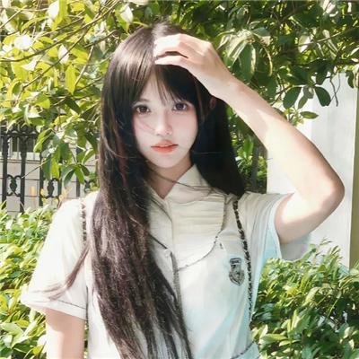 我的老婆是只猫